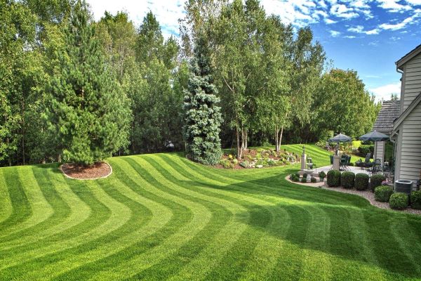 landscaping lawn