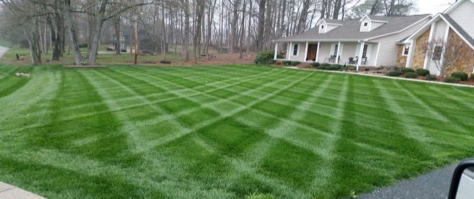 Lawn fertilizers for customers in Normal, IL.
