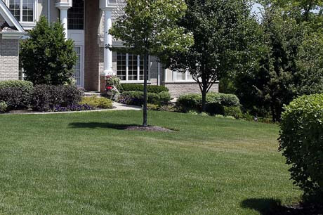 Professionally mowed lawn in Bloomington, IL