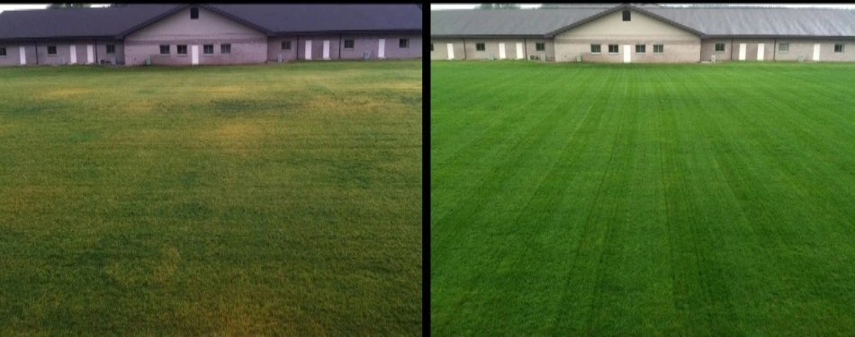 Lawn in Bloomington, IL that uses our fertilization and weed control program.