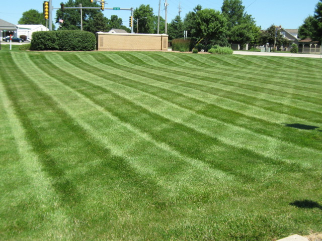 Commercial property in Normal, IL mowed by J.T. & Sons Lawn Care.